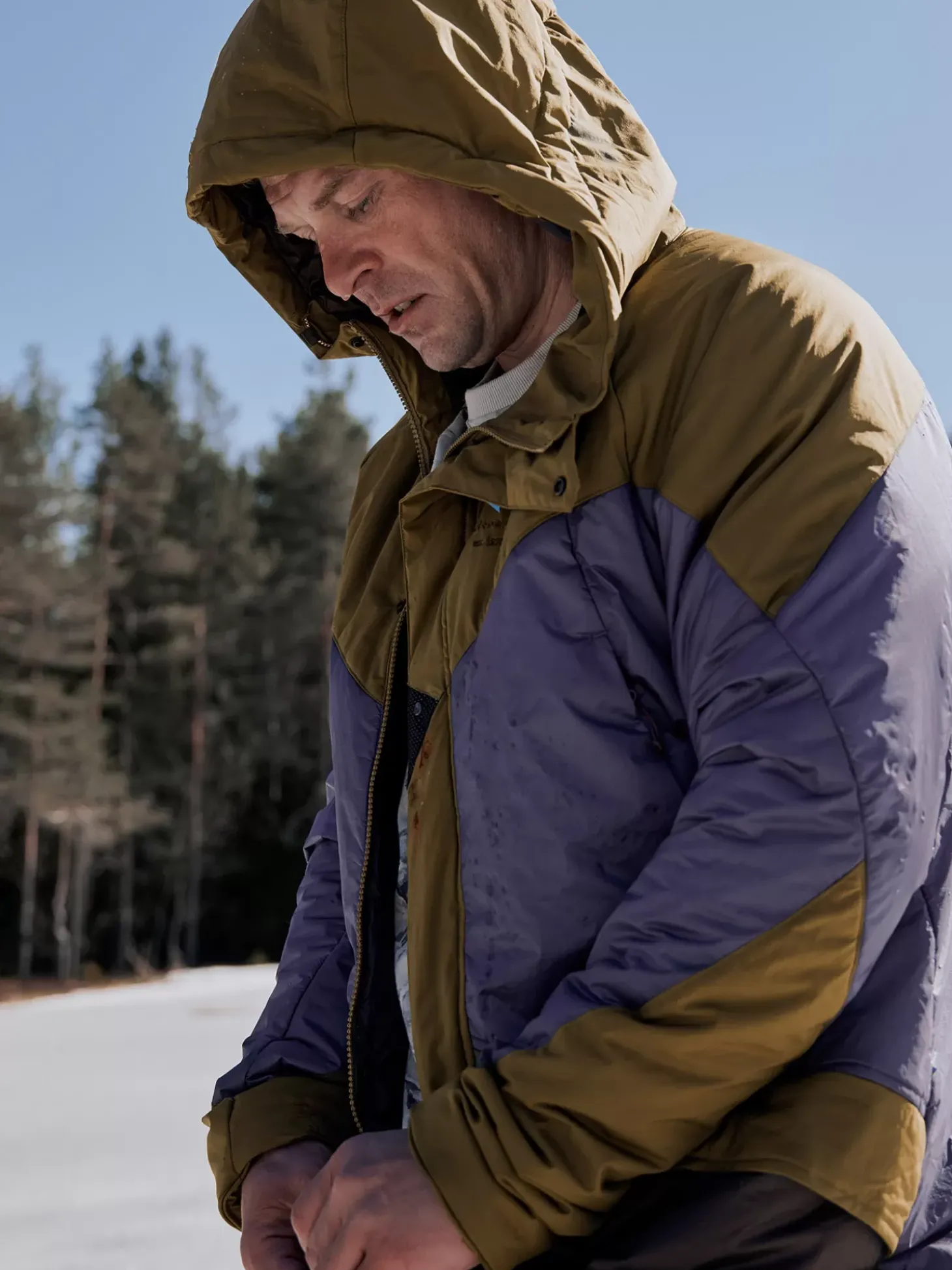 Klättermusen Down & Insulated Jackets|Down & Insulated Jackets<Alfheim Olive-PurpleStone
